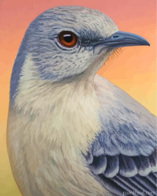 Mockingbird Painting By Numbers Kits