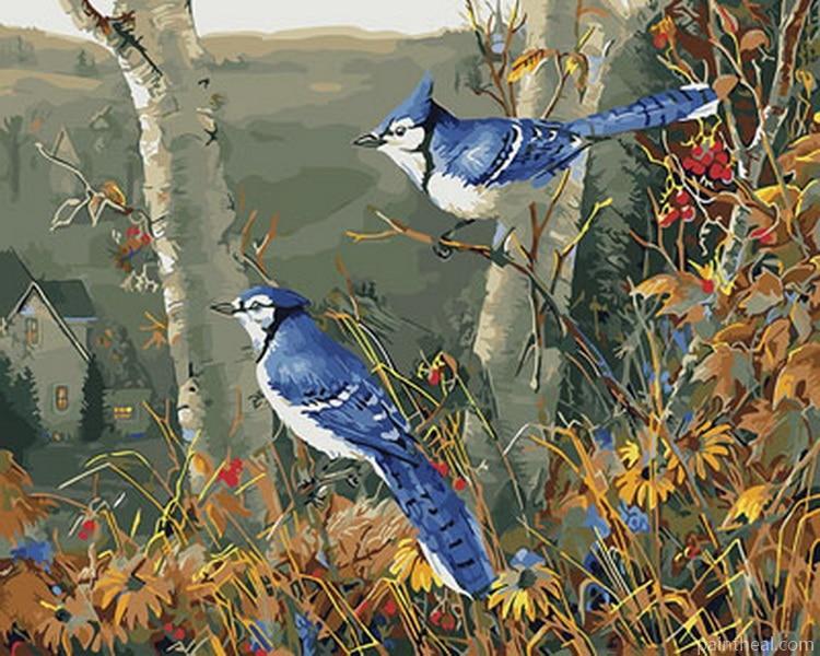 Blue Jay On Flowering Tree Birds Painting By Numbers Kits