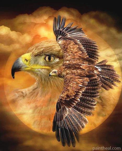 Spirit Of The Wind Birds Painting By Numbers Kits