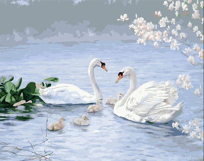 Swan Family Birds Painting by Numbers kits.jpg