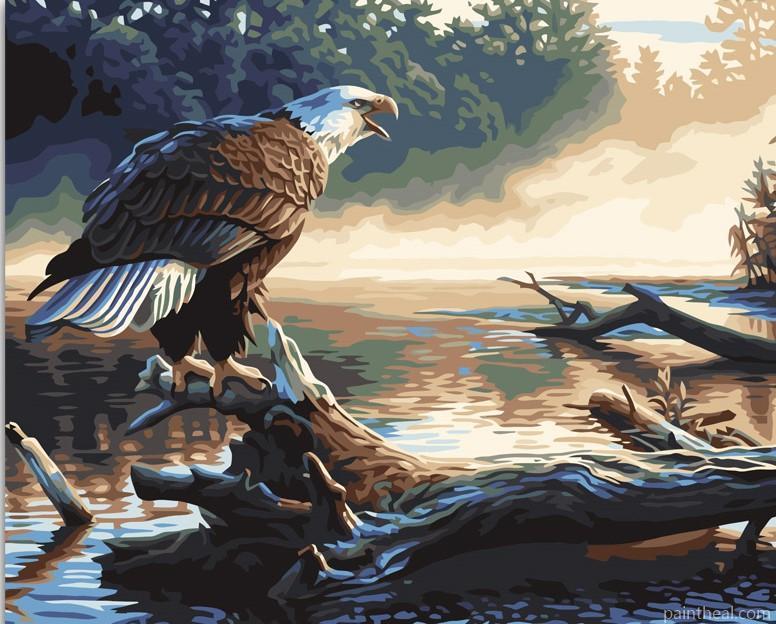 Water Eagle Birds Painting by Numbers kits.jpg