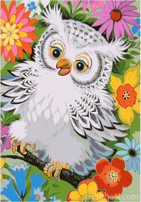 White Owl Birds Painting by Numbers kits.jpg