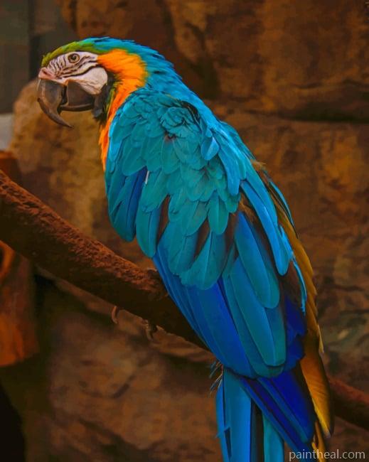 True Parrot Painting by Numbers kits.jpg