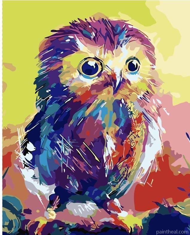 Colorful Chick Owl Painting by Numbers kits.jpg
