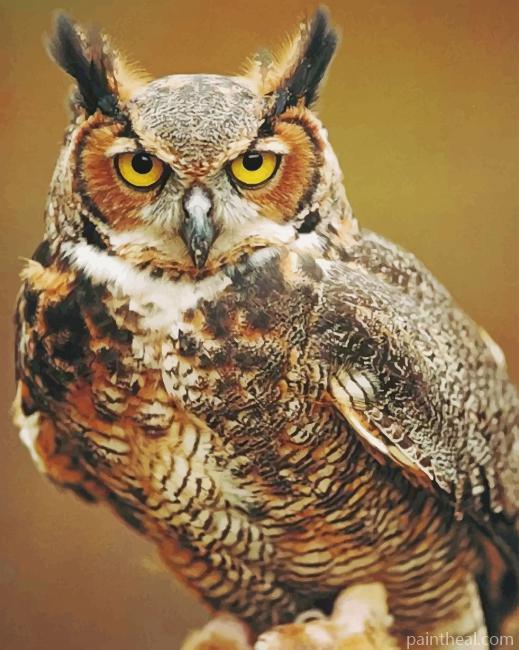 Great Horned Owl Painting by Numbers kits.jpg