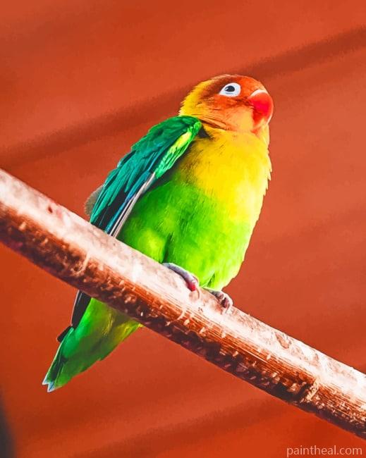Parrot Fischers Lovebird Painting by Numbers kits.jpg