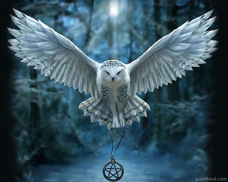 Harry Potter Hedwig Owl Painting By Numbers Kits