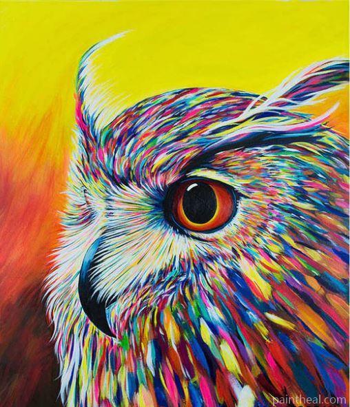Owl Portrait Birds Painting By Numbers Kits
