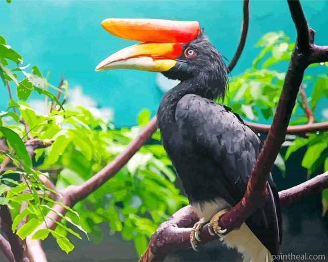 Malaysia Hornbill Bird Painting By Numbers Kits
