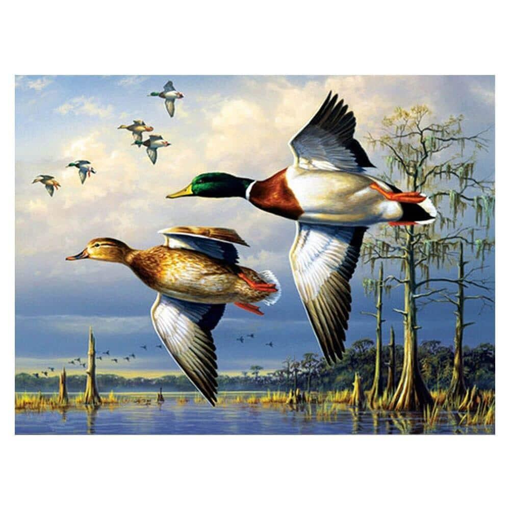 Flying Mallard Ducks Birds Painting By Numbers Kits