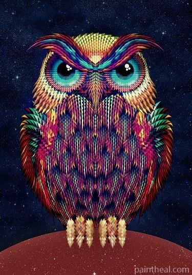 Hipster Owl Birds Painting By Numbers Kits