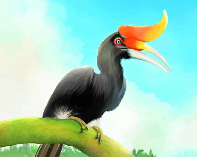 Hornbill Bird Painting By Numbers Kits
