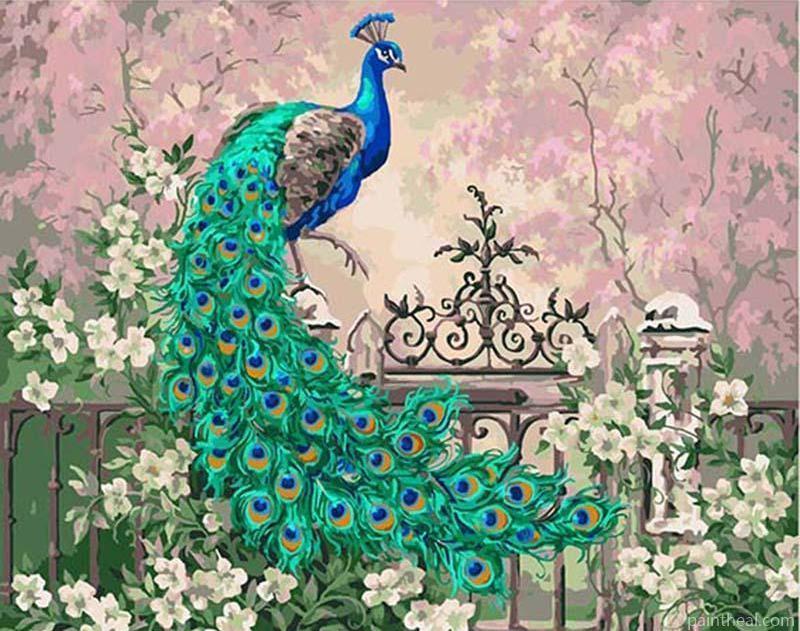 Peacock In Garden Painting by Numbers kits.jpg
