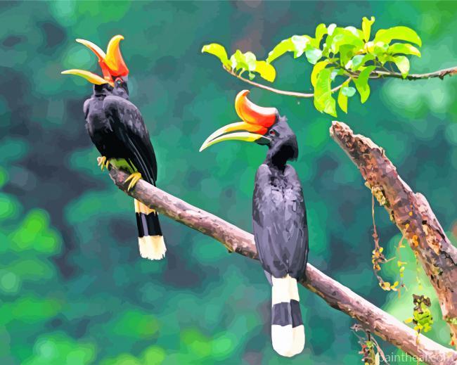 Hornbill Birds Painting by Numbers kits.jpg