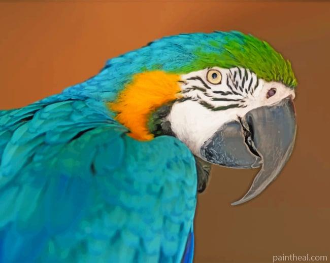 Blue Macaw Painting by Numbers kits.jpg