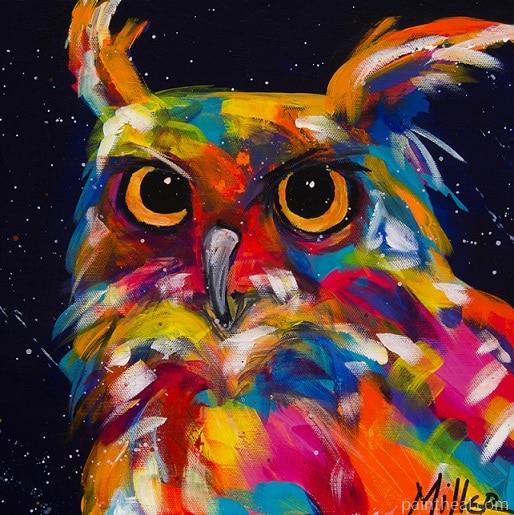 Multicolored Owl Painting By Numbers Kits