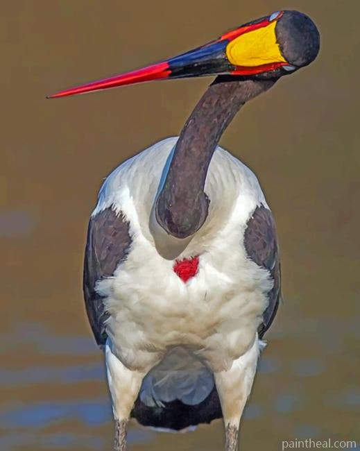 Saddle Billed Stork Painting By Numbers Kits