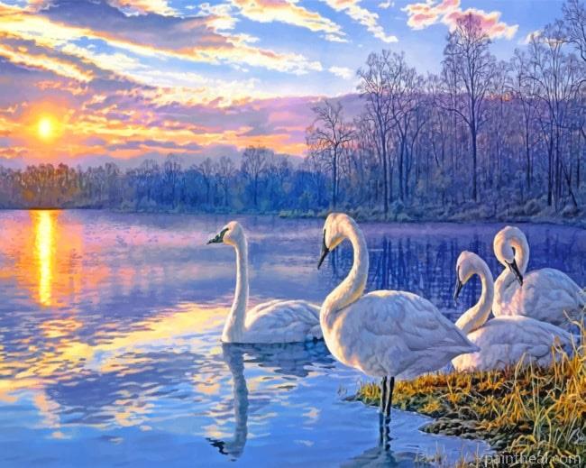 Swans Lake Painting By Numbers Kits