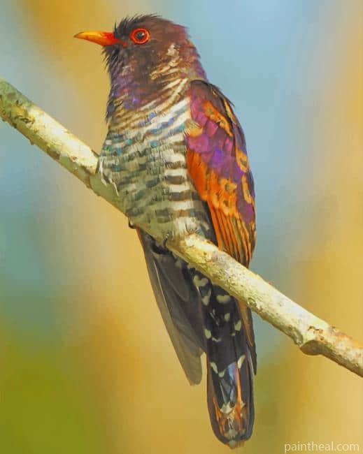 Cuckoo Bird Painting By Numbers Kits