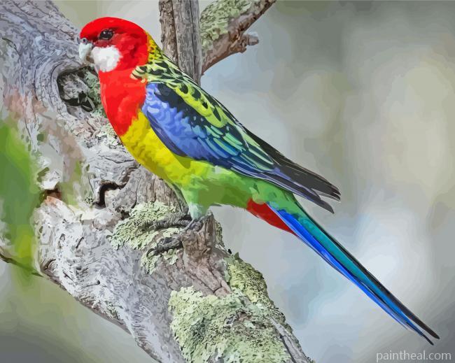 Aesthetic Eastern Rosella Painting By Numbers Kits