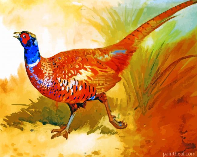 Cock Pheasant Painting By Numbers Kits