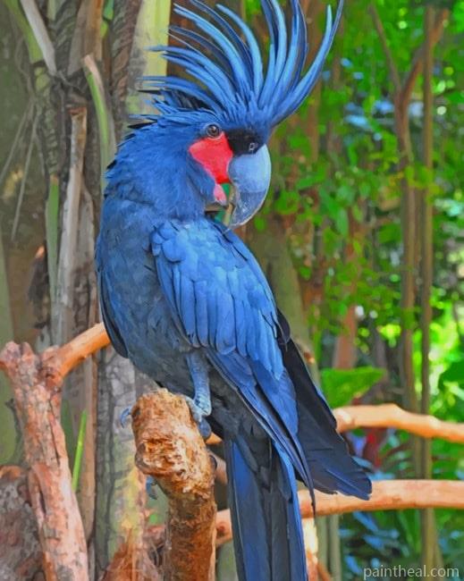 Palm Cockatoo Painting By Numbers Kits