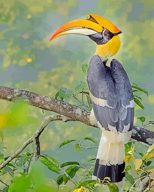 Great Hornbill Bird Painting by Numbers kits.jpg