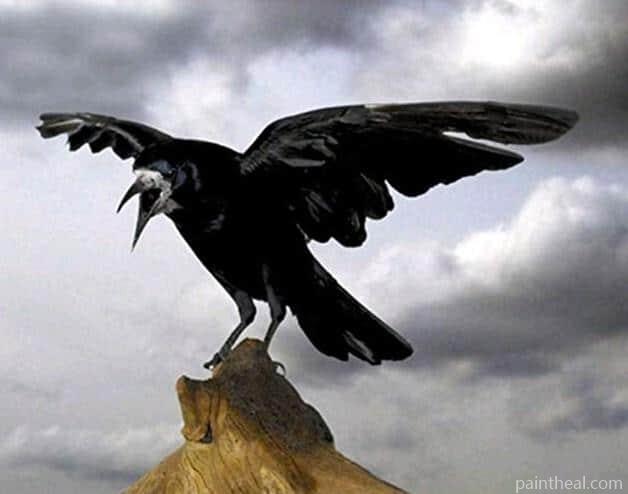 Ominous Crow Birds Painting by Numbers kits.jpg