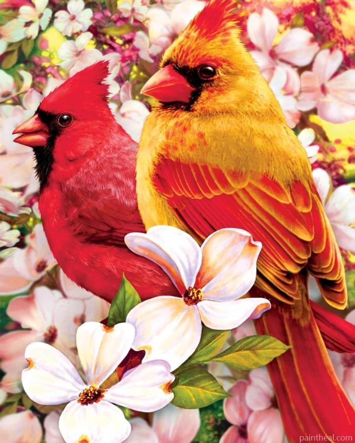 Cardinals Birds Birds Painting by Numbers kits.jpg