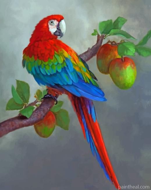 Apples And Parrot Painting by Numbers kits.jpg
