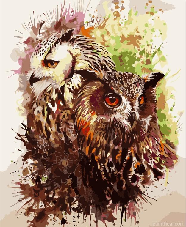 Owl Lovers Birds Painting by Numbers kits.jpg