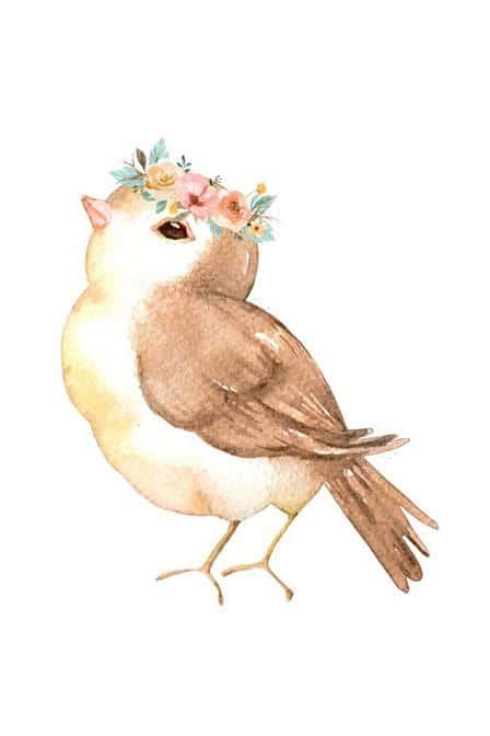 Carolina Wren Birds Painting by Numbers kits.jpg
