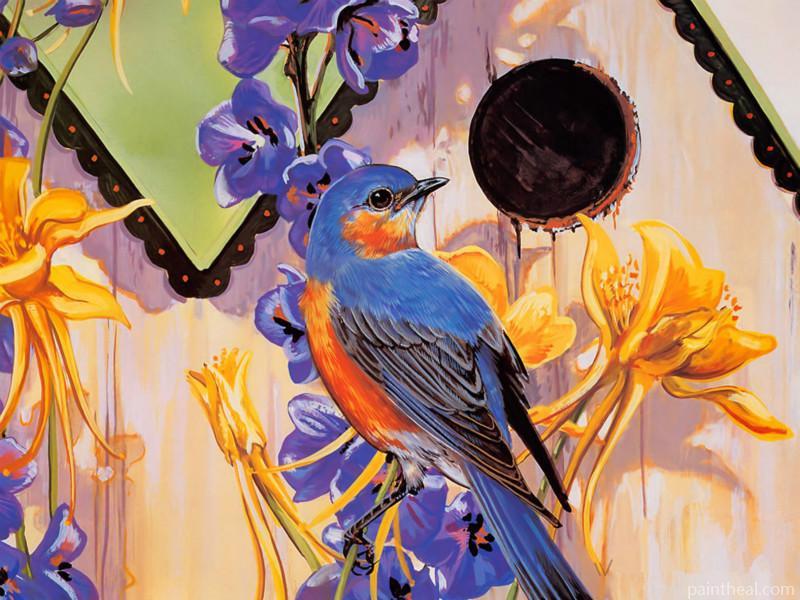 Garden Bluebirds Birds Painting By Numbers Kits