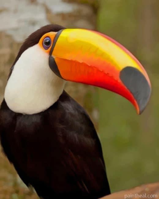 Toucan Bird Painting By Numbers Kits