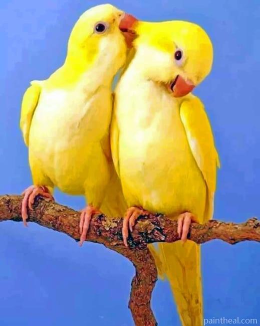 Yellow Birds Painting By Numbers Kits
