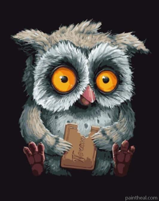 Owl Eating biscuits Birds Painting By Numbers Kits