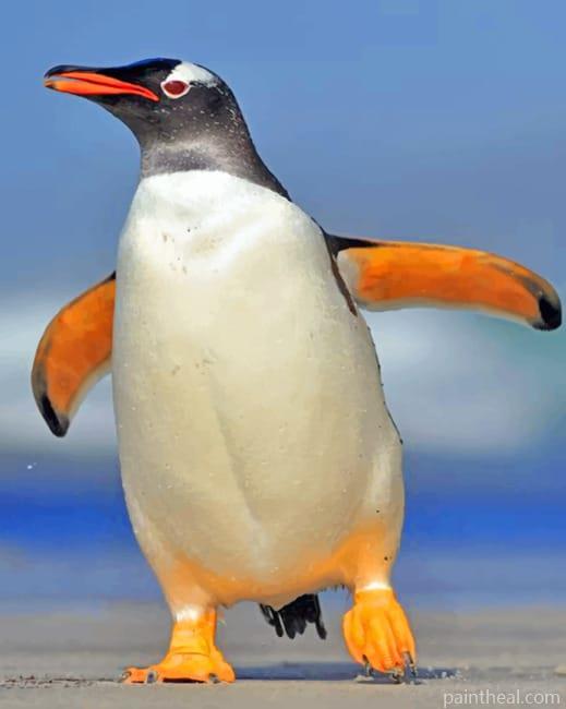 Gentoo Penguin Painting By Numbers Kits