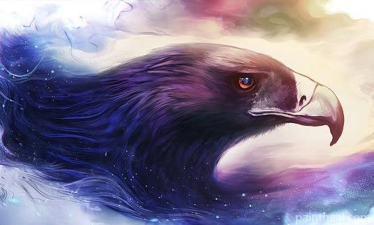 Dream Eagle Birds Painting By Numbers Kits
