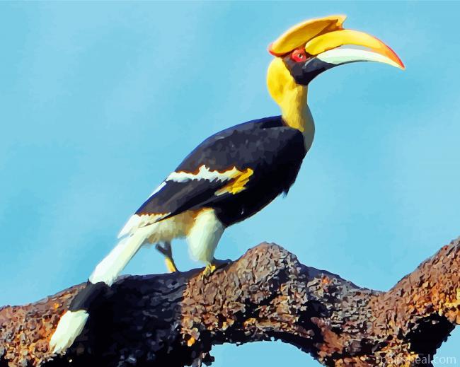 Great Pied Hornbill Painting By Numbers Kits
