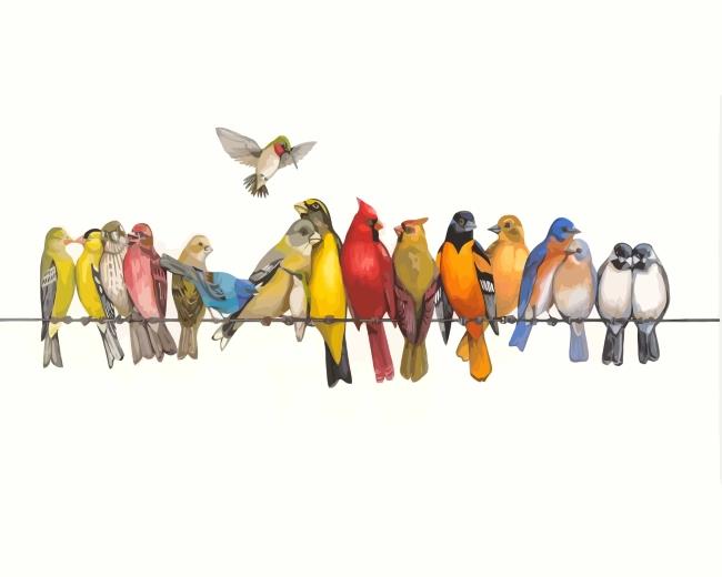 Birds Species On Wire Painting By Numbers Kits