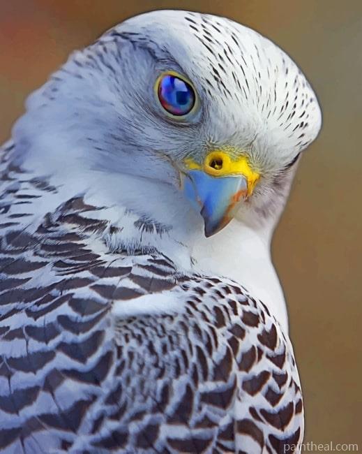 Gray Falcon Bird Painting By Numbers Kits