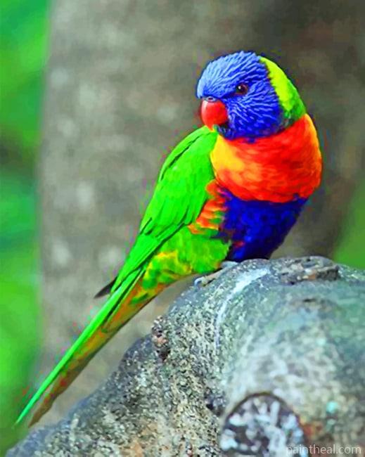 Coconut Lorikeet Painting By Numbers Kits
