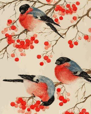 Bullfinch Birds Painting By Numbers Kits