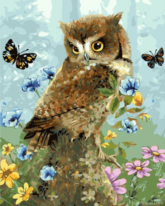 Owl and Butterfly Birds Painting By Numbers Kits