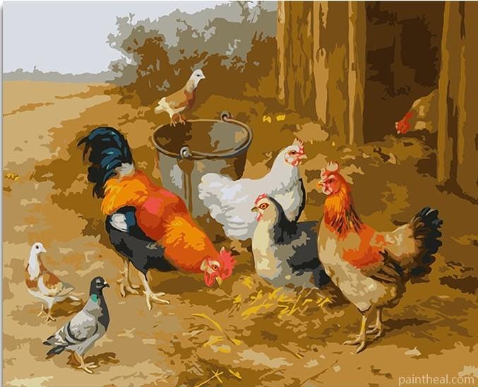 Chickens and Pigeons Birds Painting By Numbers Kits