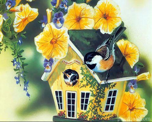 Bird Houses With Yellow Flower Birds Painting By Numbers Kits