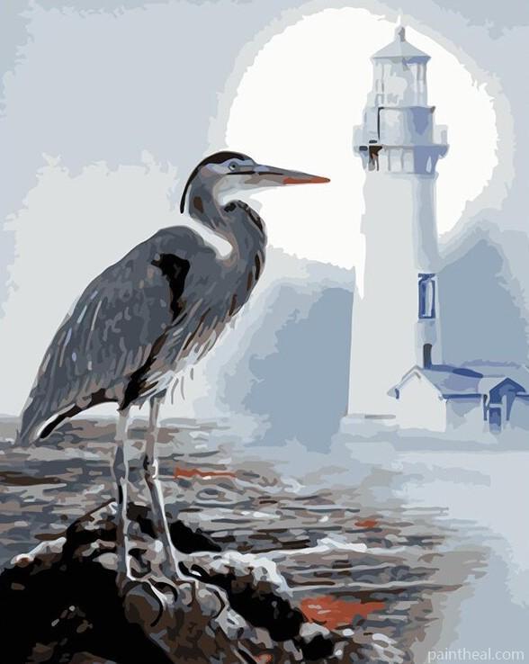 Seabirds lighthouse Birds Painting By Numbers Kits