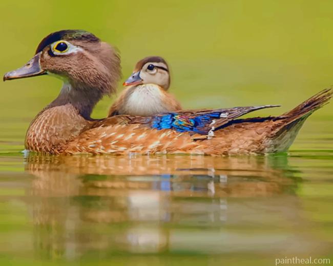 Wood Ducks In Water Painting By Numbers Kits