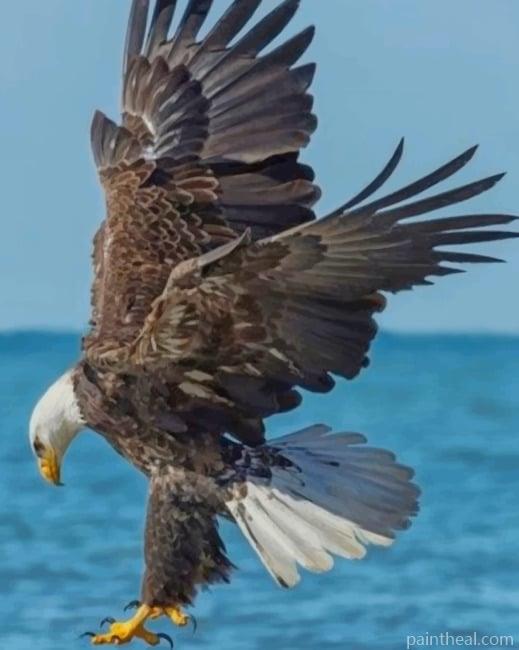 Eagle Flying Painting By Numbers Kits