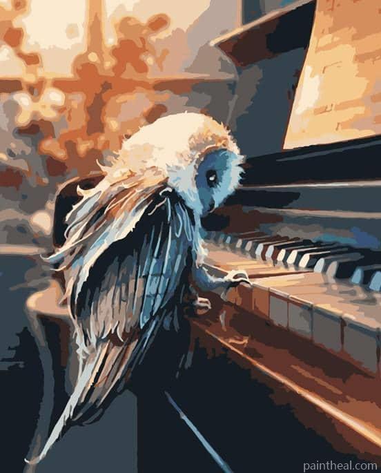 Owl On Piano Painting By Numbers Kits